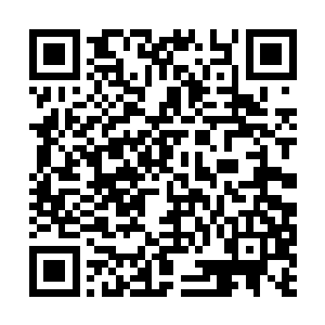 原本萧风是让火天带人去扫荡谢家旗下帮派的场子二维码生成