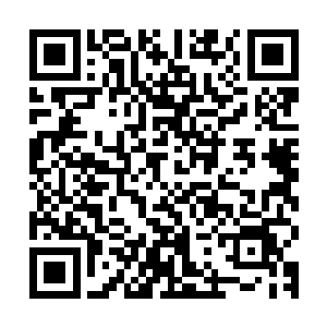 原本虚空之中的黑色的光幕此时也不知道什么时候诡异的消散了二维码生成