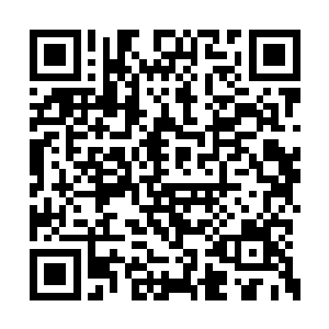 原本血神身上的近乎主神的气势消失的无影无踪二维码生成