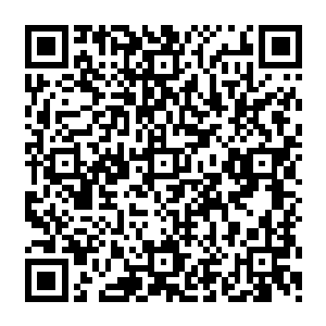 原本被两股力量各自占领一半地盘的丹田此时只剩下占据各自一半的五分之一的两股力量二维码生成