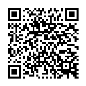 原本被四个天选卫士按在地上的费根突然喃喃了几句咒语二维码生成