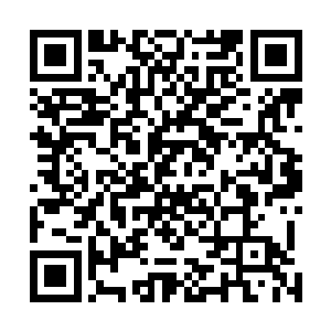 原本被巨型鲶鱼尸兄保护在身下的鳗鱼尸兄再次冒了出来二维码生成