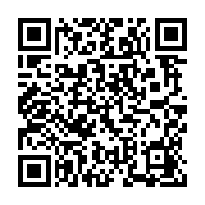 原本被平民们视为保护神的巫师们开始大肆杀戮二维码生成