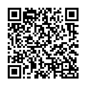 原本被放在地上奄奄一息的羊羔竟然支棱起脖子二维码生成