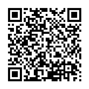 原本被林辰误以为是幻觉的可怕气息竟再次席卷全身二维码生成