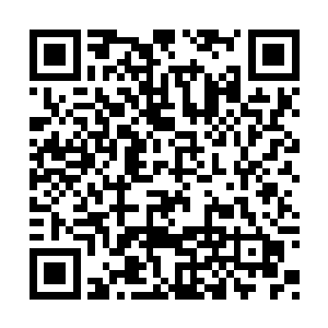 原本被电弧缭绕而剧烈抽搐的肌肉纷纷松弛下来二维码生成