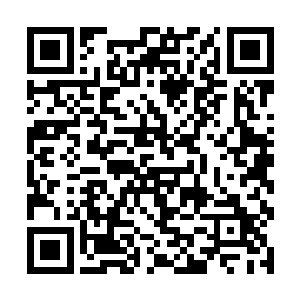 原本被禁锢的元神此时竟然已经不知不觉之中恢复了二维码生成