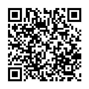 原本被那血色烈焰包裹的楚旬忽然向前跨出一步二维码生成