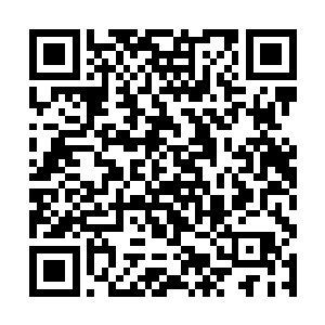 原本觉得臣服别人没任何希望的几位长老立刻动心了二维码生成