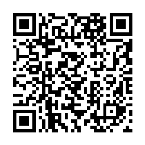 原本该放在墓外的石像生被墓主人奇怪地移到了墓内二维码生成