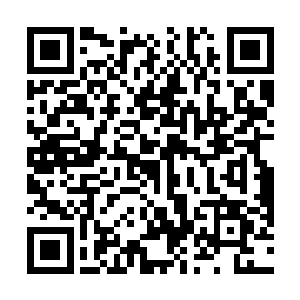 原本说北方机械厂和长风机器厂的技校暂时不会搬出来二维码生成