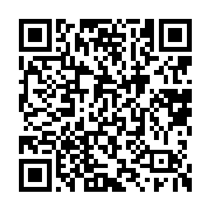 原本赤红色的眼珠已经蒙上了一层灰褐色的阴霾二维码生成