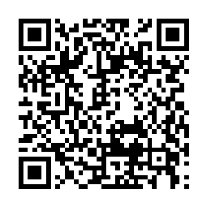 原本跟在她身后的两名女子就低着头到了世子面前二维码生成