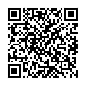 原本躲在沙堆下方午睡的幽眼紫蛛顿时觉得世界末日来临二维码生成