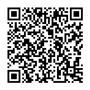 原本躺在地上半天没爬起来的祖海尔连滚带爬的朝着绮莉老师爬了过去二维码生成