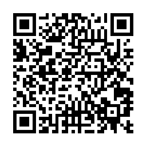 原本还一副漫不经心的模样的墨修尧眼神一闪立刻来了精神二维码生成