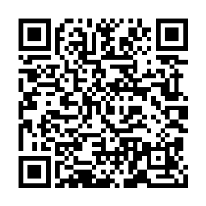 原本还一脸云淡风轻的李林脸色瞬间阴沉了下去二维码生成