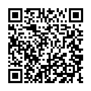 原本还以为是她进大学深造不再接商业广告和影视合同二维码生成