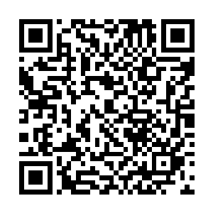 原本还以为这些黑衣人会继续留在下面困住夭华等人二维码生成