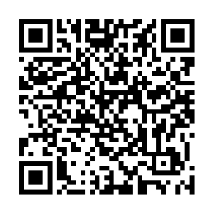 原本还只能笨拙的战斗的花斑巨牛立刻就变得灵敏了起来二维码生成