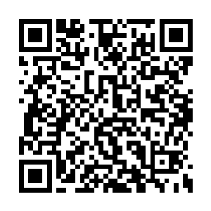 原本还在懊恼这么好的局竟然还是让苏凡跑掉了二维码生成
