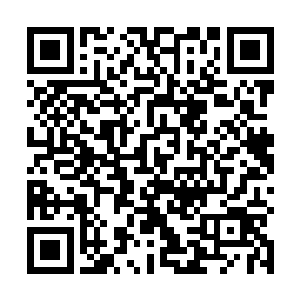 原本还在打坐的两个人直接被林烽丢去了助理考核世界二维码生成