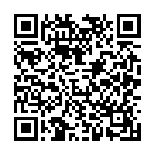 原本还在暴乱的五彩气息和青色气息突然停了下来二维码生成