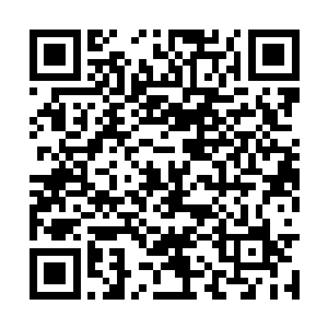 原本还在讨伐林烽的所有弟子立刻都站直为了身子二维码生成