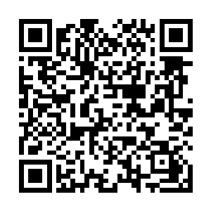 原本还处于劣势的烈焰佣兵团几人局势瞬间得到了扭转二维码生成