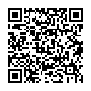 原本还带着几分兴奋想要林烽实施的众人立刻摇头二维码生成