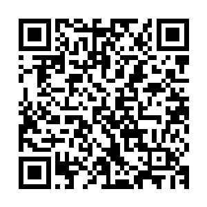 原本还有些惊惧不安的众人忽然发现自己的心情竟然平静了下来二维码生成
