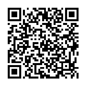 原本还有些惊慌失措的龙子龙孙也顿时反应过来二维码生成