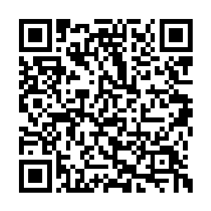 原本还有些欲望的众人这会儿彻底的安静了下来二维码生成