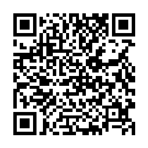 原本还有些畏惧许紫烟的百族修士都开始为难人族了二维码生成