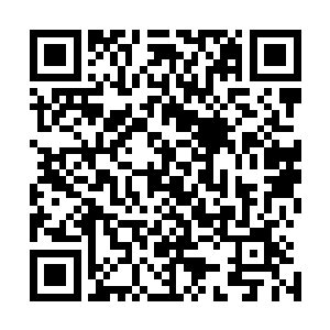原本还有几分感动的几个人立刻就抿着嘴不说话了痛心疾首二维码生成
