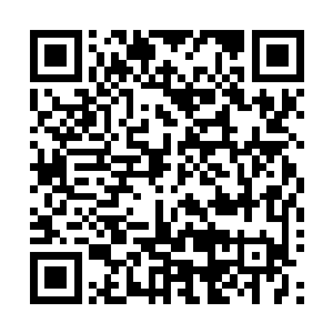 原本还有想法的几个弟子全部都安静的站在那里没有再开口二维码生成