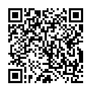 原本还清澈如洗的天空上也诡异的出现了一道道血色的网络二维码生成