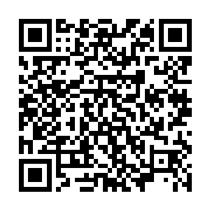 原本还犹疑着想先试探的仙人们竟是迅速逼近了过来二维码生成