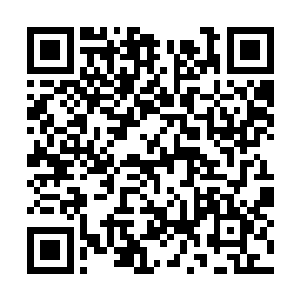 原本还稳占上风的雷振霆因为墨修尧的那一番血洗二维码生成