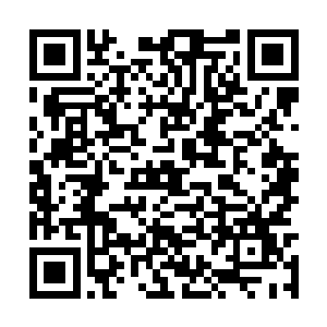 原本还觉得这是一个比较聪明比较有正义感的学生二维码生成