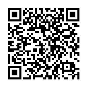 原本这两条蛇在空中飞舞的时候就像蛇在水里游动一样二维码生成