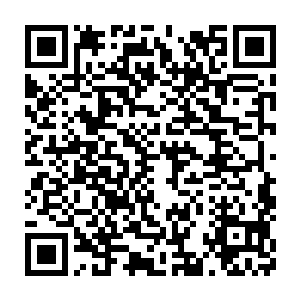 原本这些修士心中打的算盘是让日族族长和月族族长去对付许紫烟二维码生成