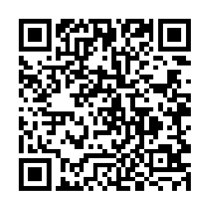 原本连一只大乘期初期的妖兽都要对付好几天的小白二维码生成