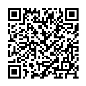 原本逃到一旁的金银何首乌慢慢分开它们的身体二维码生成