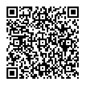 原本那个只在电话里讨论过的选秀节目的制作流程和很多详细细节就已经变成了书面材料二维码生成