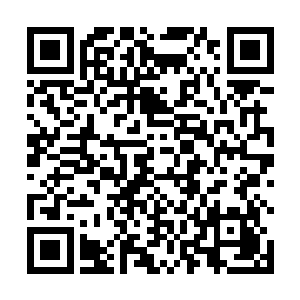 原本那个无所不能仙风道骨的形象在他们心中轰然崩塌二维码生成