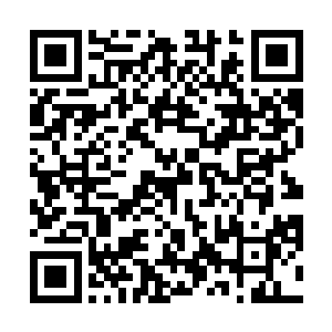 原本那些被惊飞的人面鸟在强光落入铁战体内的一瞬间二维码生成