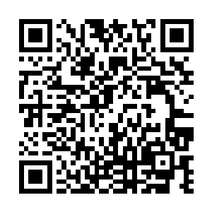原本那门开动的时候因为自然的摩擦会有轻微的咯吱声二维码生成
