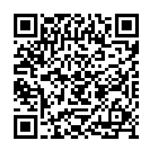原本都是他因为怕她顽皮磕伤碰伤所以才备着的二维码生成