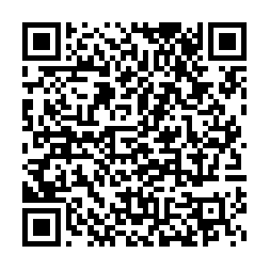 原本金尊玉贵锦衣玉食的夫人公子小姐们被突然投入肮脏阴暗的大牢二维码生成